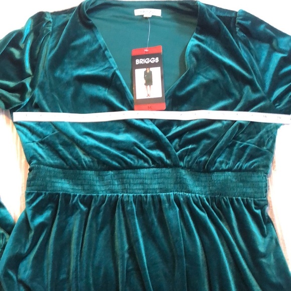 Briggs NWT Long Sleeve Velvet Dress - Picture 8 of 14